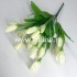 Букет крокусов "FITTONE", 21г, выс. 35см, цв.микс