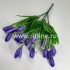 Букет крокусов "FITTONE", 21г, выс. 35см, цв.микс