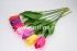Тюльпан одиночный "Fittone", выс.50 см, плотный атлас, цв.микс
