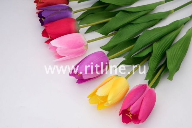 Тюльпан одиночный, выс. 50 см, плотный атлас, цв. микс FITTONE