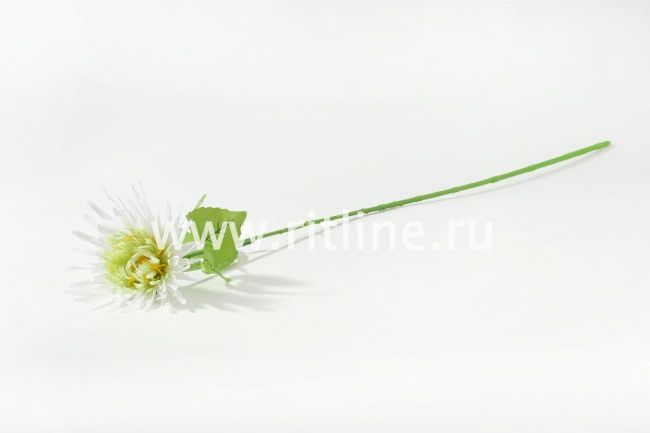 Хризантема одиночная Fittone, выс.70см, плотный шелк, цв.микс