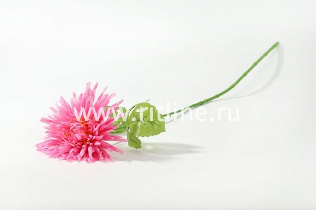 Хризантема одиночная Fittone, выс.70см, плотный шелк, цв.микс