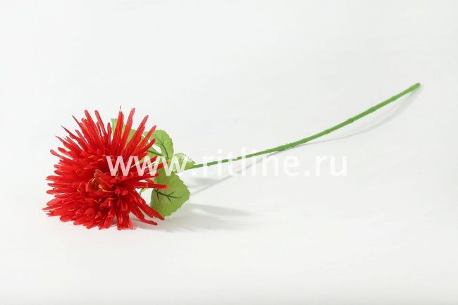 Хризантема одиночная Fittone, выс.70см, плотный шелк, цв.микс