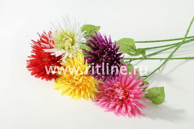 Хризантема одиночная Fittone, выс.70см, плотный шелк, цв.микс
