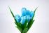 Букет тюльпанов "Fittone", 6г, выс.30см, плотный атлас, цв.микс