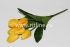 Букет тюльпанов с пенопластом "Fittone", 7г, выс.43см, плотный атлас, цв.микс