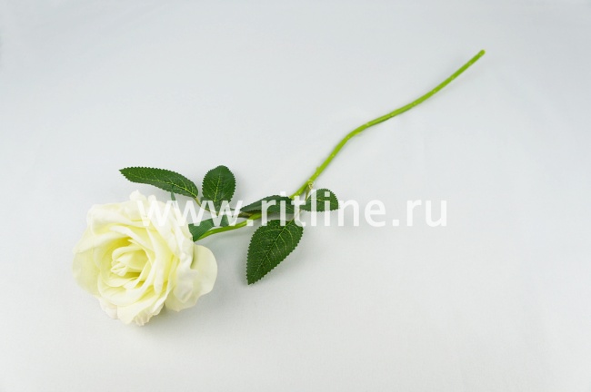 Роза одиночная бархатная, выс. 50 см, диам. 12 см, цв. микс FITTONE