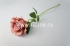 Роза одиночная бархатная с пенопластом "Fittone", выс.50см, диам.12см, цв.микс