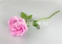 Роза одиночная бархатная с пенопластом "Fittone", выс.50см, диам.12см, цв.микс