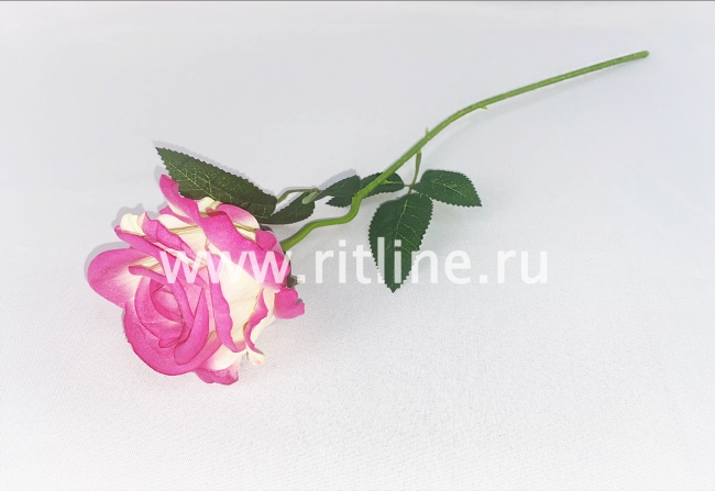 Роза одиночная бархатная, выс. 50 см, диам. 12 см, цв. микс FITTONE