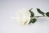 Роза одиночная с пенопластом "Fittone", выс.62см, диам.11см, плотный шелк, цв.микс