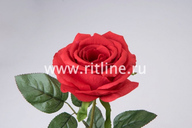 Роза одиночная с пенопластом "Fittone", выс.62см, диам.11см, плотный шелк, цв.микс