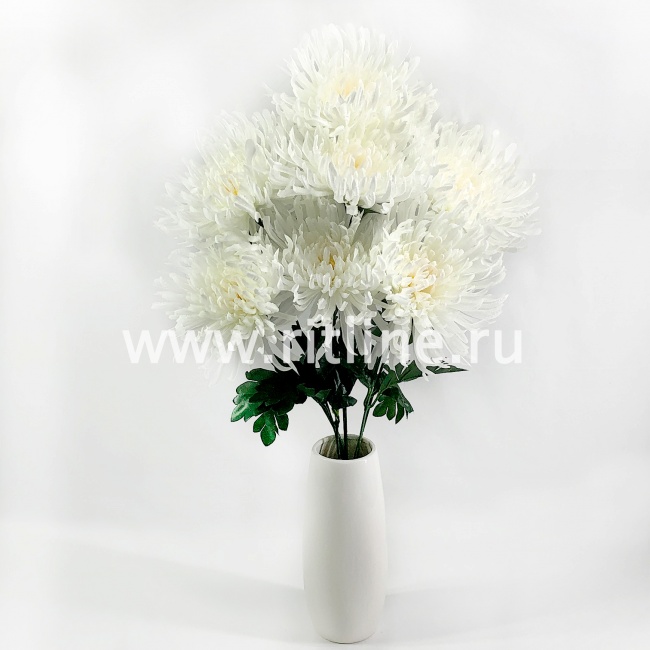 Букет хризантем "FITTONE", 7г, выс. 57см, цв.микс Букет хризантем "FITTONE", 7г, выс. 57см, цв.микс