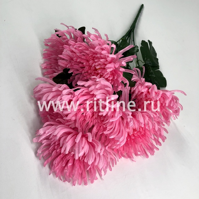 Букет хризантем "FITTONE", 7г, выс. 57см, цв.микс Букет хризантем "FITTONE", 7г, выс. 57см, цв.микс