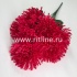 Букет хризантем "FITTONE", 7г, выс. 57см, цв.микс
