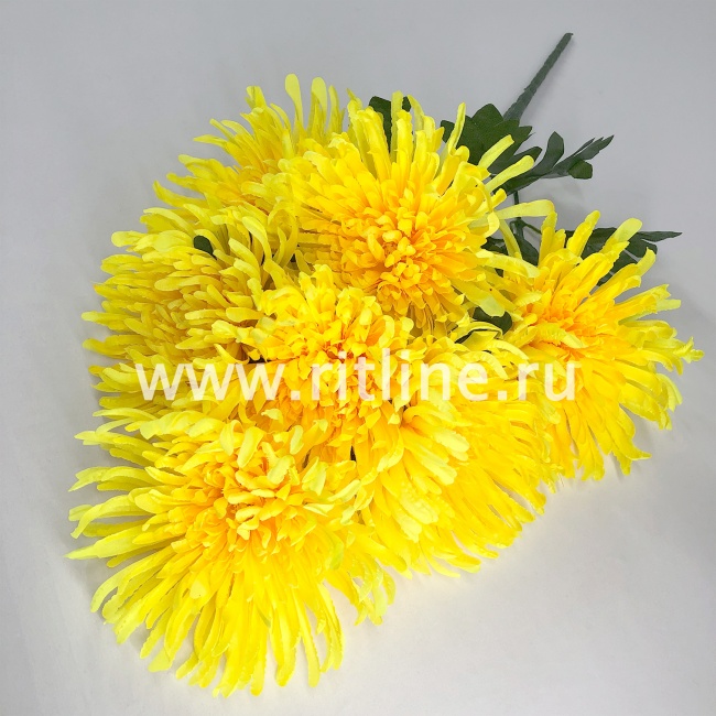 Букет хризантем "FITTONE", 7г, выс. 57см, цв.микс Букет хризантем "FITTONE", 7г, выс. 57см, цв.микс