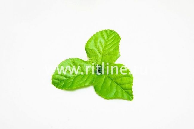 Листик розы "Fittone", разм.9см, цв.зеленый