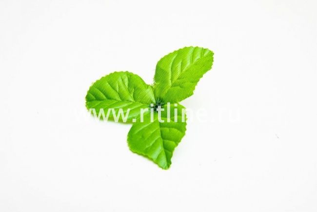 Листик розы "Fittone", разм.9см, цв.зеленый