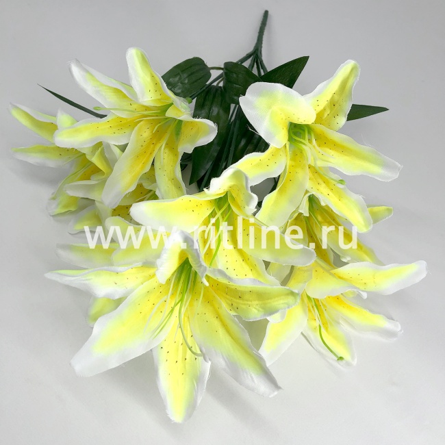 Букет лилий "FITTONE", 9г., выс. 46см, цв.микс Букет лилий "FITTONE", 9г., выс. 46см, цв.микс