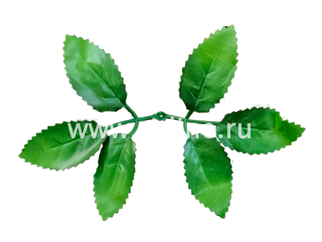 Лист розы (цена за 1 кг, в 1 кг +-670 шт) FITTONE