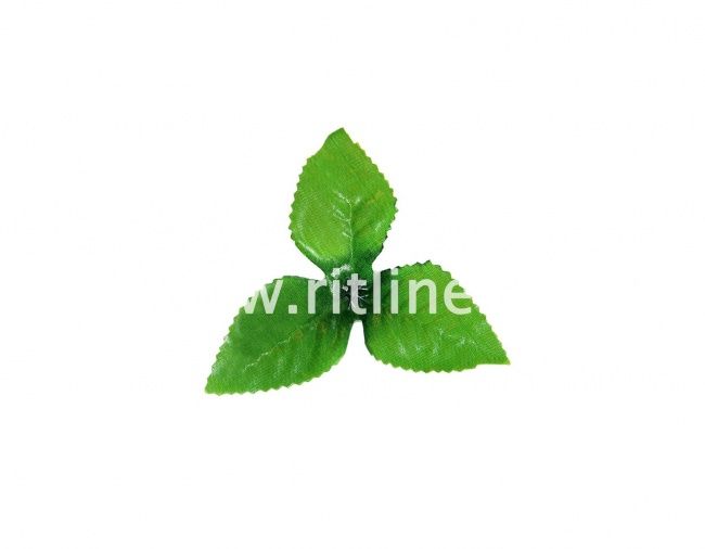 Листик розы "Fittone", размер 9 см, цв.зеленый