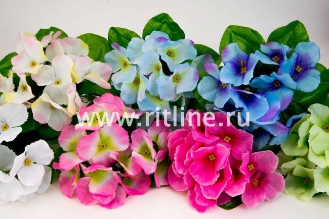 Букет фиалок "Fittone", 12г, выс.21, цв.микс