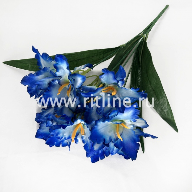 Букет ирисов "FITTONE", 15г., выс. 48см,цв.микс Букет ирисов "FITTONE", 15г., выс. 48см,цв.микс