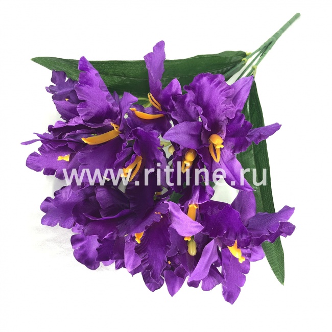 Букет ирисов "FITTONE", 15г., выс. 48см,цв.микс Букет ирисов "FITTONE", 15г., выс. 48см,цв.микс