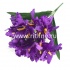 Букет ирисов "FITTONE", 15г., выс. 48см,цв.микс