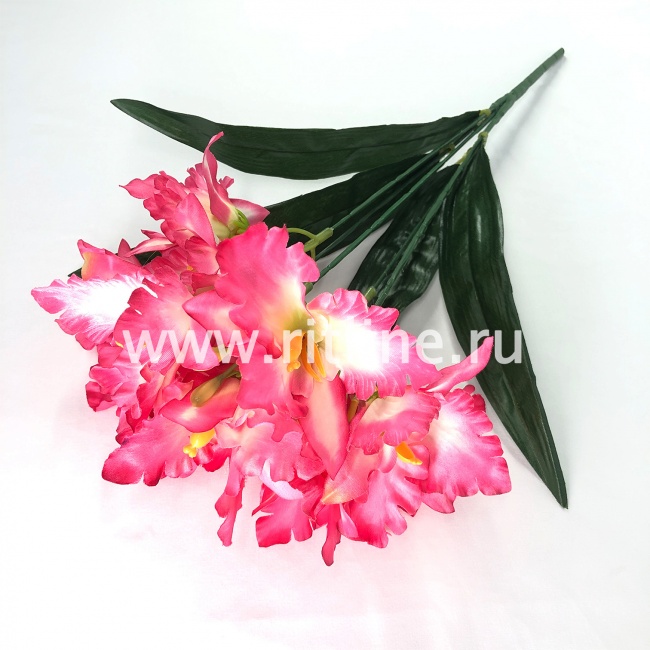 Букет ирисов "FITTONE", 15г., выс. 48см,цв.микс Букет ирисов "FITTONE", 15г., выс. 48см,цв.микс