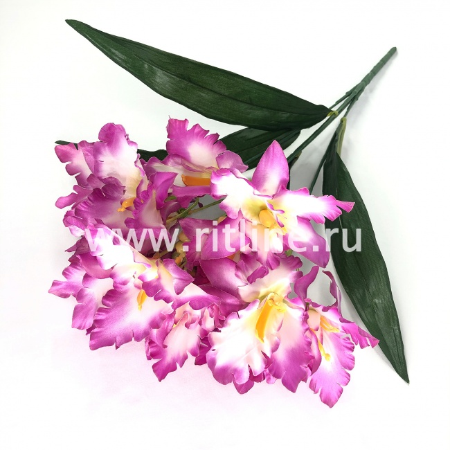 Букет ирисов "FITTONE", 15г., выс. 48см,цв.микс Букет ирисов "FITTONE", 15г., выс. 48см,цв.микс