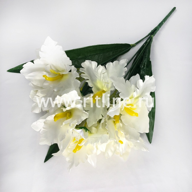 Букет ирисов "FITTONE", 15г., выс. 48см,цв.микс Букет ирисов "FITTONE", 15г., выс. 48см,цв.микс