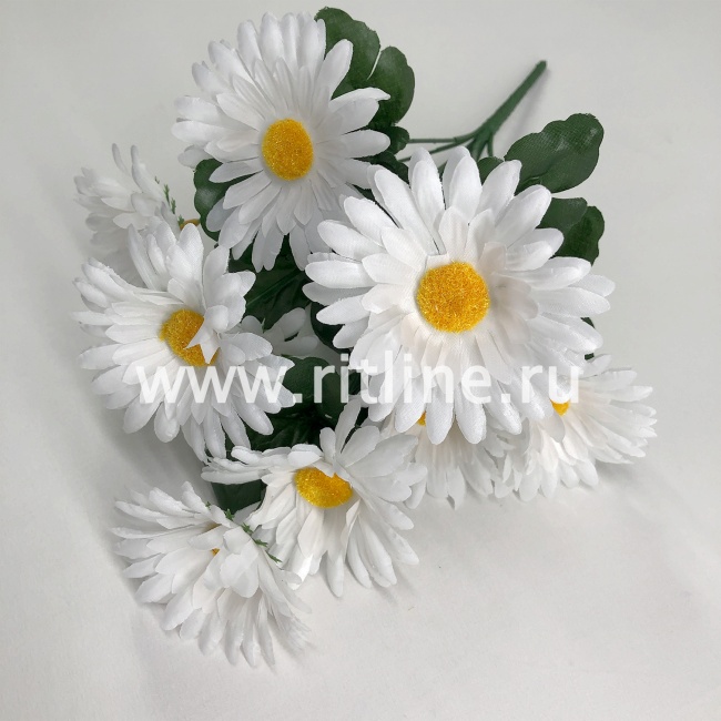 Букет ромашек, 9г., выс. 40 см, цв. белый FITTONE