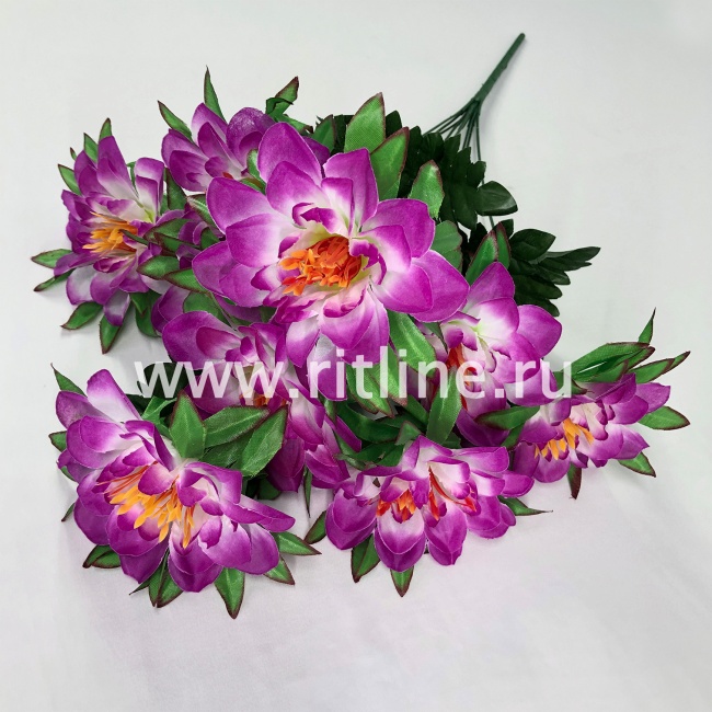 Букет георгинов "FITTONE", 9г., выс. 58см, цв.микс