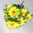 Букет георгинов "FITTONE", 9г., выс. 58см, цв.микс