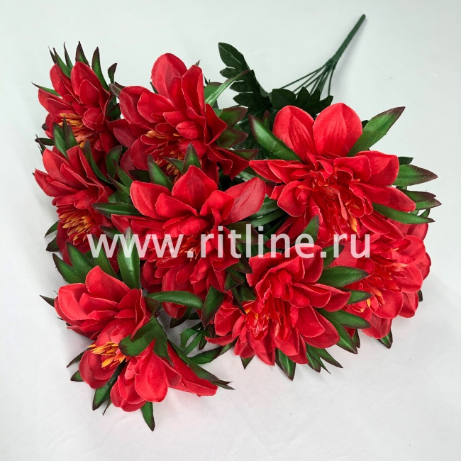 Букет георгинов "FITTONE", 9г., выс. 58см, цв.микс