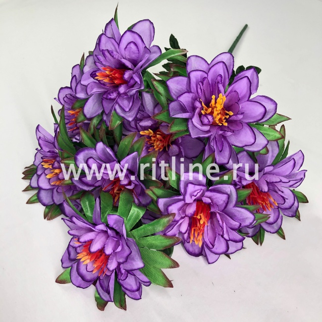 Букет георгинов "FITTONE", 9г., выс. 58см, цв.микс