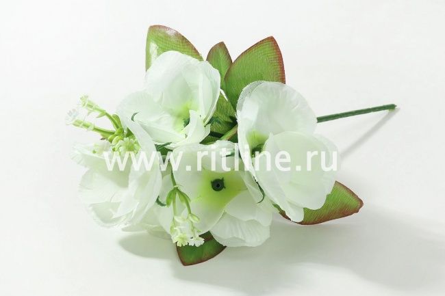 Букет роз, 5г, выс. 22 см, цв. микс FITTONE