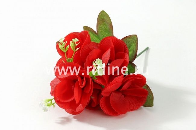 Букет роз, 5г, выс. 22 см, цв. микс FITTONE