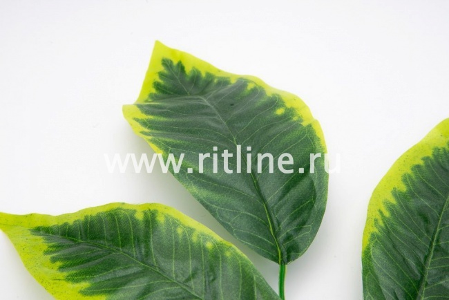 Ветка манго "FITTONE", 5л, выс.60см, с принтом, цвет зеленый