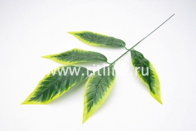 Ветка манго "FITTONE", 5л, выс.60см, с принтом, цвет зеленый