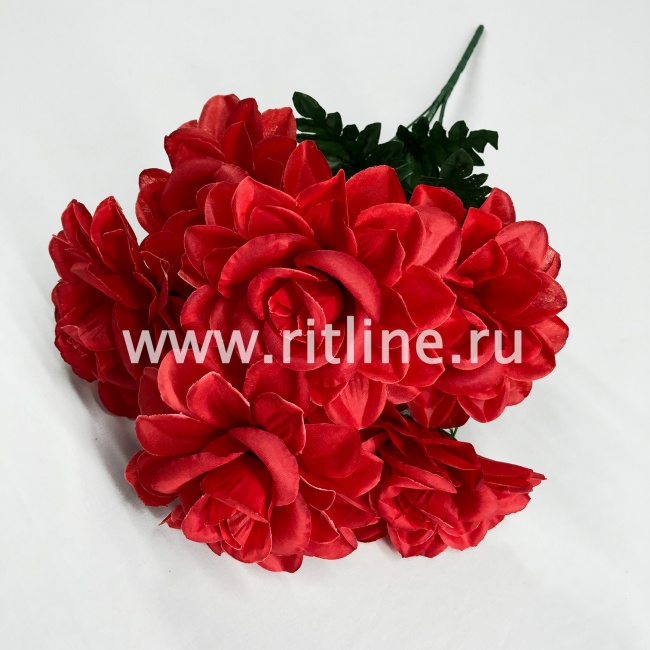 Букет роз, 6г, выс. 56 см, цв. микс FITTONE