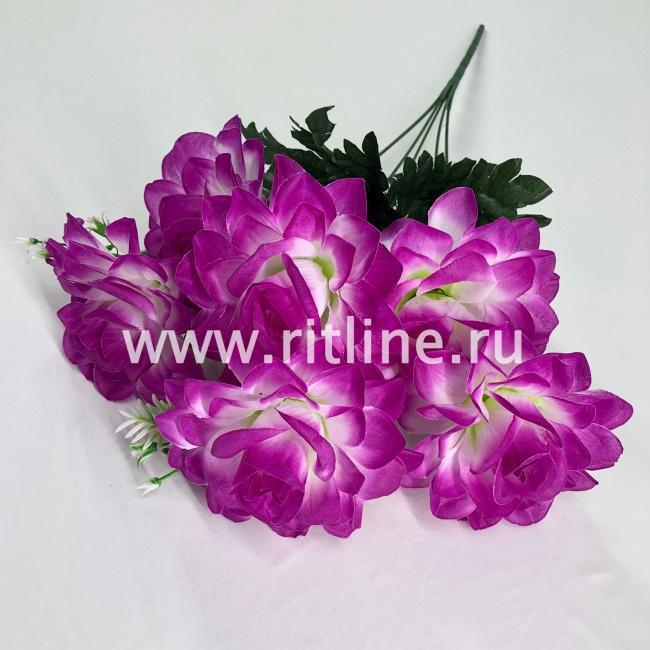 Букет роз, 6г, выс. 56 см, цв. микс FITTONE