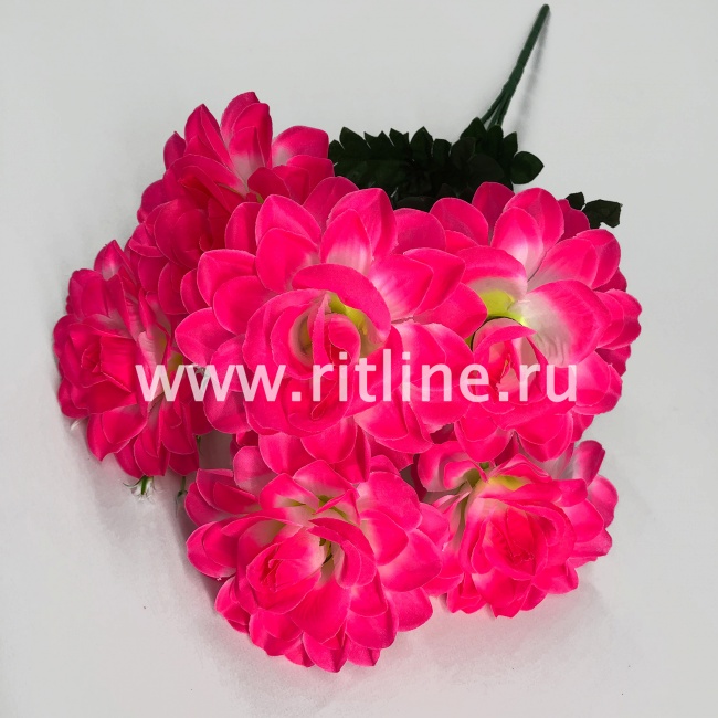 Букет роз, 6г, выс. 56 см, цв. микс FITTONE