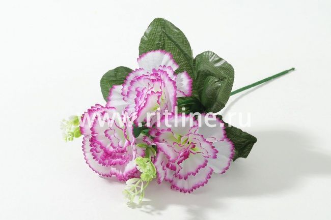 Букет гвоздик, 4г, выс. 21 см, цв. микс FITTONE