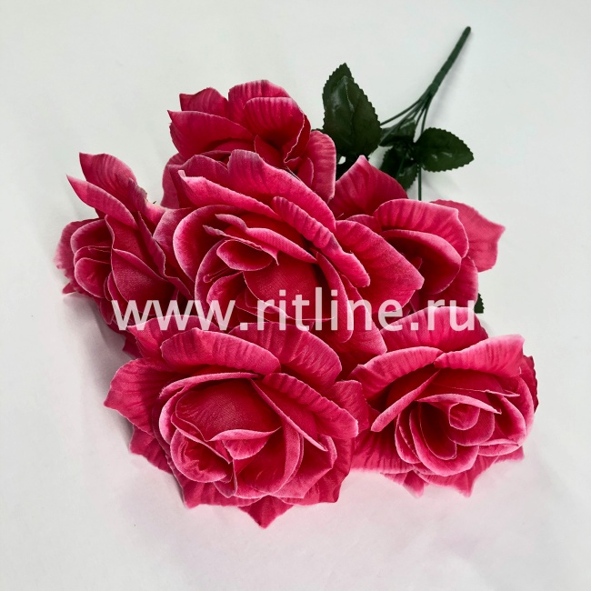 Букет роз "FITTONE", 6г, выс. 52см, цв.микс Букет роз "FITTONE", 6г, выс. 52см, цв.микс