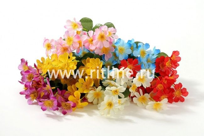 Букет космеи "Fittone", 6г, выс.31, цв.микс