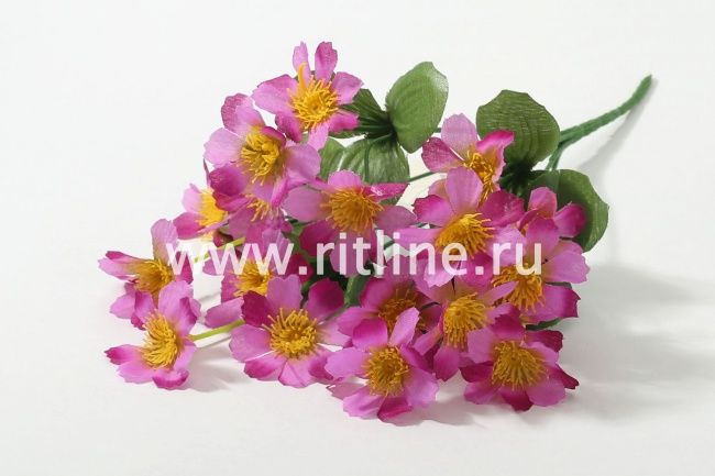 Букет космеи "Fittone", 6г, выс.31, цв.микс
