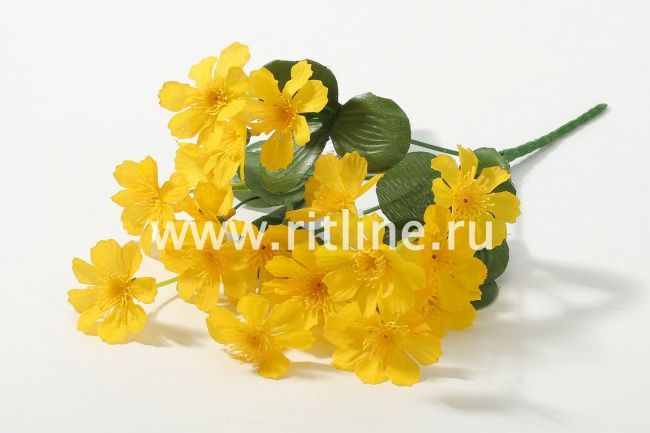 Букет космеи "Fittone", 6г, выс.31, цв.микс