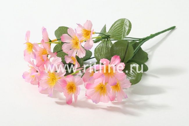 Букет космеи "Fittone", 6г, выс.31, цв.микс